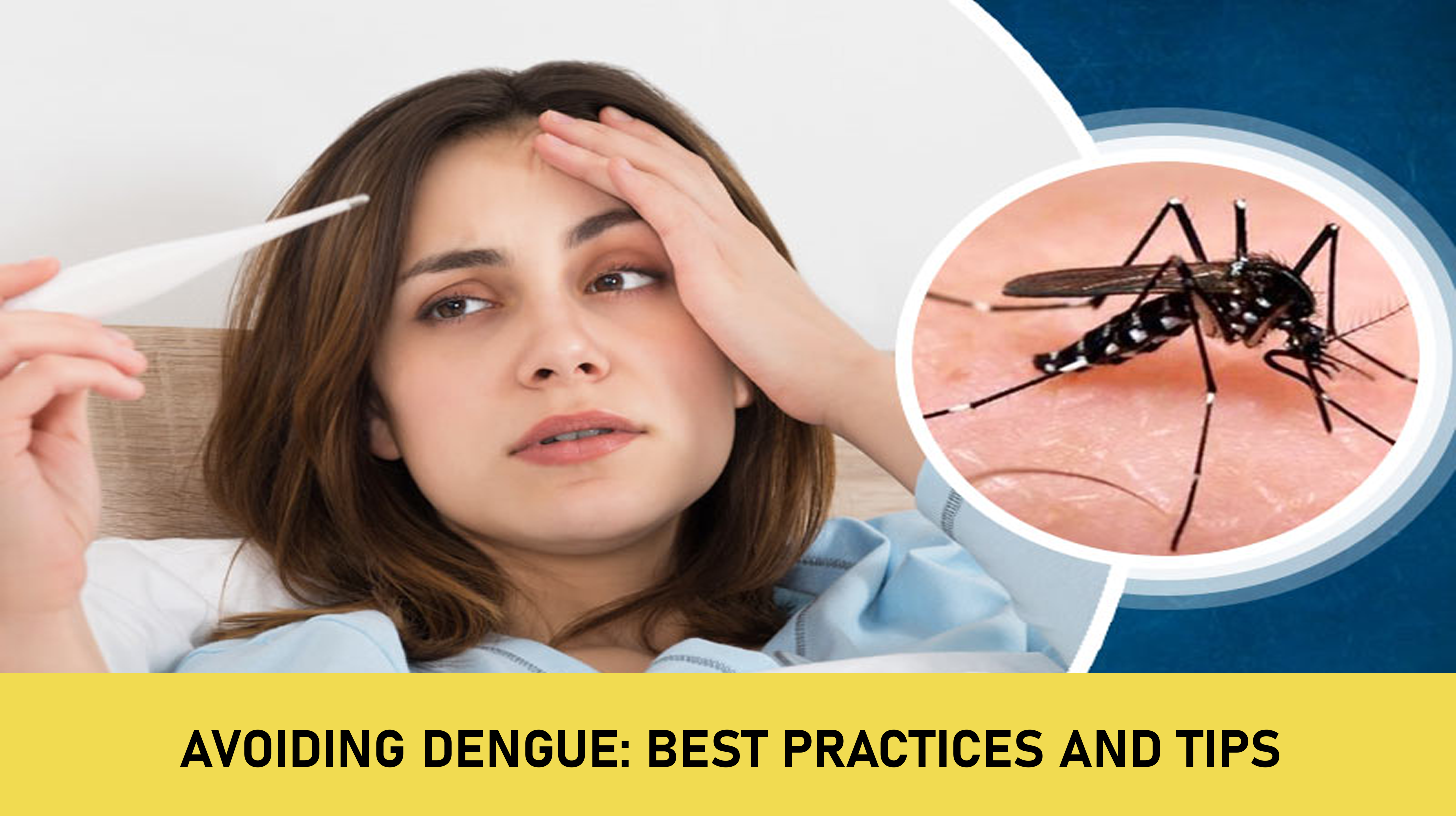 Avoiding Dengue: Best Practices and Tips